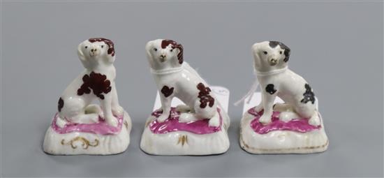 Three Staffordshire porcelain figures of King Charles spaniels, H. 5.2cm